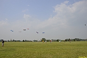Parco San Giuliano  - 375